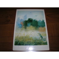 Белюкин Лес и степь По Тургеневу 1980 год чистая