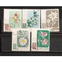 ФФ2 Польша 1957 Цветы гаш