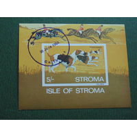 STROMA 1969 г. Собаки.