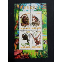 ЛИСТ ФАУНА животные  СТО