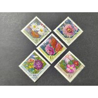 1970 СССР. Цветы. Полная серия