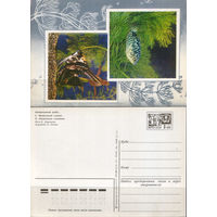 Почтовая карточка " Аквариумные рыбы"