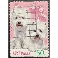 Австралия 2004. Породы собак