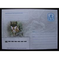 ХМК Беларусь 2006 г. Воук, Волк. з. 6876-06 .