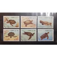 Куба. 1983 год. Фауна. Черепахи (122)