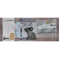 Сирия, 5000 фунтов 2024 г. P118d. UNC