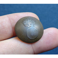 Набор пуговиц РИА, 3шт, 1830-1862