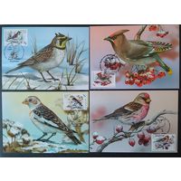 Беларусь 2023 КМ Птицы-зимние гости.