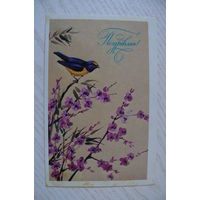 Охотина Н., Поздравляю! 1986, подписана.