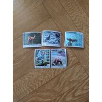 Румыния марки 1992 г. Фауна