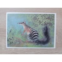 Исаков 1982,чистая