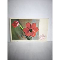 Открытка, 1968г., чистая. С днём рождения! Красивые тюльпаны. Фото Л. Тарасовой. 14