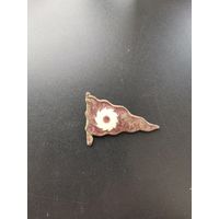 Очень редкий значок 1924 г. Оригинал!