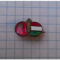 Общество советско-венгерской дружбы. Латунь.