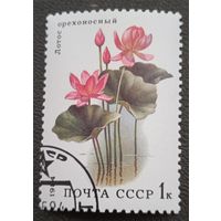 Лот 238 CCCР (1984) Водные растения. Лотос орехоносный SU5381 СТО