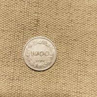 Австрия 1000 крон 1924