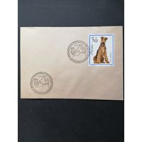 Польша 1963 Конверт с маркой из серии "Породистые собаки" (спецгашение III Познаньский симпозиум кинологов) Mi.1377