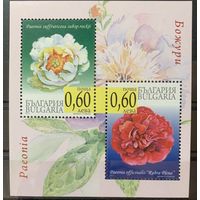 Болгария 2010. Флора. Пион  блок (4937)