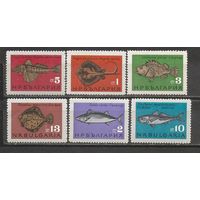 ФФ1 Болгария 1965 Рыбы