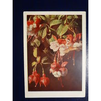 Цветы.  до 1958 г.  Германия.  подписанная.