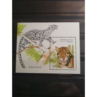 Бенин 1996г. Кошки.