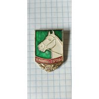 Чемпионат Европы. Киев 1975