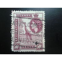 Кения Уганда Танганьика, 1954. Королева Елизавета II, жираф 50с