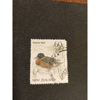 Нов.Зеландия  1987  утка