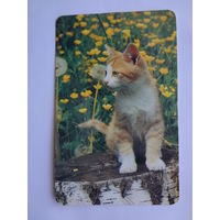 Календарик 1992 г. Котенок на пне.