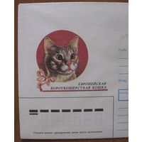 Европейская кошка, фауна, конверт ХК СССР 1990 г. .