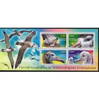 Французские Антарктические территории  2010. Птицы блок (724)