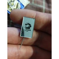 Ленин,стекло