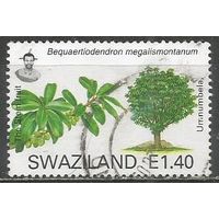 Свазиленд. Деревья. Саквойя вечнозелёная. 2007г. St#784.