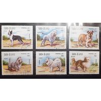 Лаос. 1982 год. Фауна. Собаки (576)