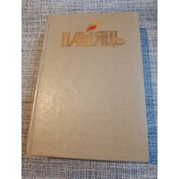 Книга Память Чериковский район.