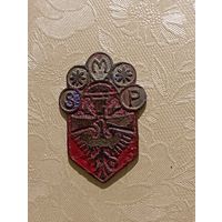 Знак Союз польской молодёжи. Довоенный . С рубля.