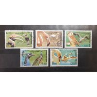 Афганистан. 2000 год. Фауна. Птицы. Орлы (334)