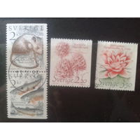 Швеция 1985 Стандарт: флора и фауна Полная серия