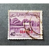 Марка Пакистан (надпечатка на марке 1961 года)