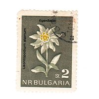 Болгария Флора