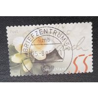 Лот 287 Германия (2004) Камелия яннаненсии DE 2293