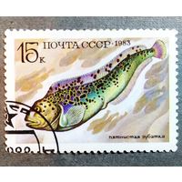 Марка СССР 1983 год Рыба