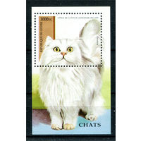 Гвинея - 1995г. - Коты - 1 блок - полная серия, MNH [Mi bl. 492]. #O-Bl-Z-2-1