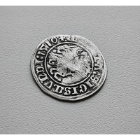 Полугрош 1510 г., Сигизмунд I Старый, Вильно, лот рп-7,6