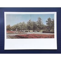 СССР 1966 ДМПК фото Панова. Минск. Парк им.30-летия БССР. Чистая.