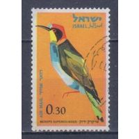 [1977] Израиль 1963. Фауна.Птицы.Золотистая щурка. Гашеная марка.