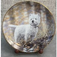 Фарфоровая настенная тарелка SammlerFactum Внимание. Германия. 20.5 см