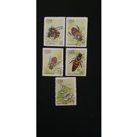 Куба насекомые 5шт