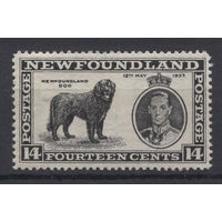 1937 Ньюфаундленд /Newfoundland* 14c Коронация SG#262