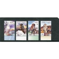 Беларусь 2007. Фауна. Совы